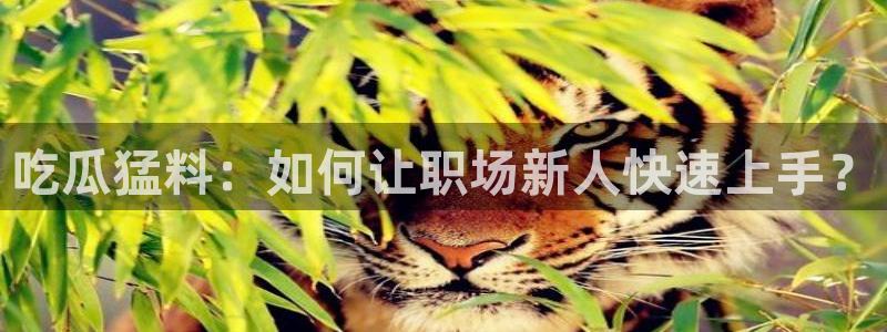 吃小瓜舌头尖疼是为什么:吃瓜猛料:如何让职场新人快速上手?