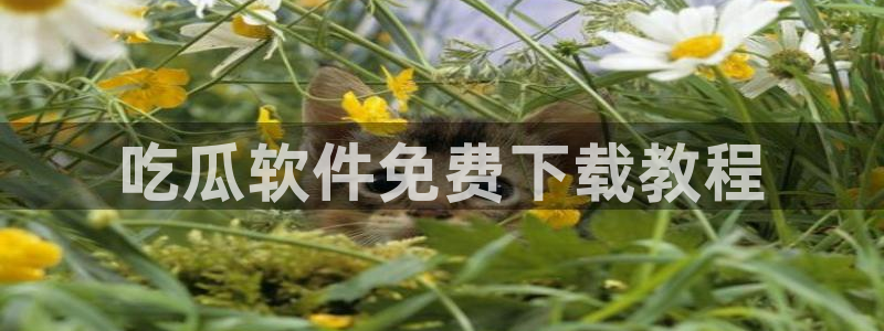 吃瓜吃瓜:吃瓜软件免费下载教程