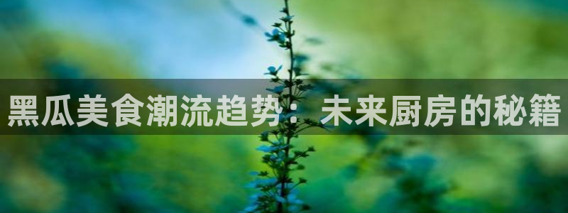 51吃瓜网今日必吃大瓜:黑瓜美食潮流趋势:未来厨房的秘籍
