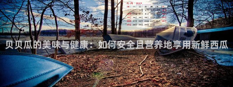 51吃瓜网 张津瑜:贝贝瓜的美味与健康:如何安全且营养地享用新鲜西瓜